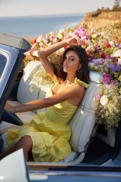 Nalani Dress 19 Nalani Dress -ALAMOUR DRESS SALE 41 05284f49 8548 4970 8f55 387e85b0edac