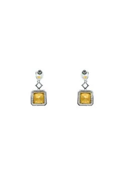 Remi Amber Embellished Earrings -ALAMOUR DRESS SALE 495