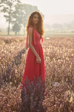 Cellina Maxi Dress -ALAMOUR DRESS SALE 7 96f2dbf6 2731 405f ab3d 33682fa3976d